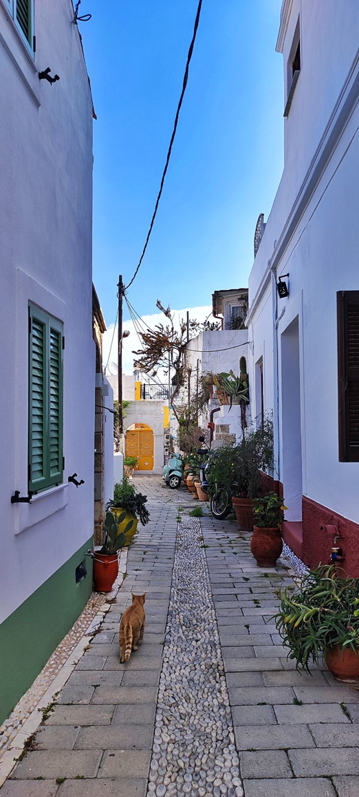 Koskinou Rhodes in april