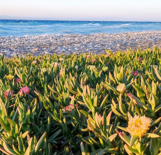 Rhodes beach in April
