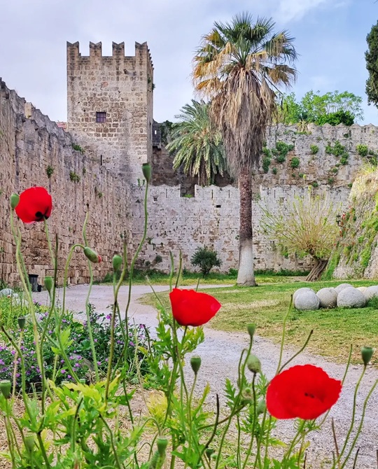 Rhodes in April Old town poppies
